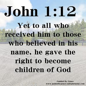 John 112