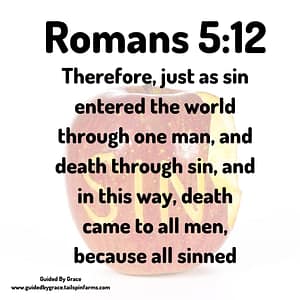 Romans 512