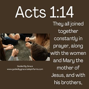 Acts 114