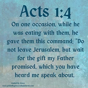Acts 14