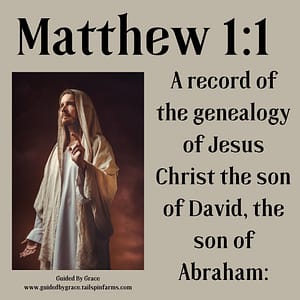 Matthew 11