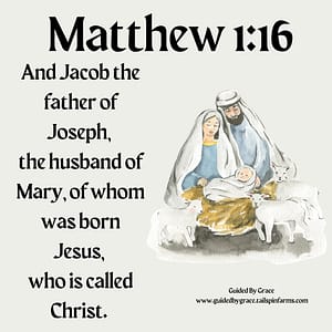 Matthew 116