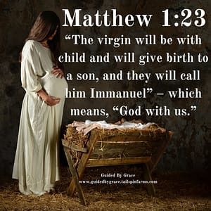 Matthew 123