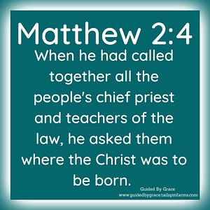 Matthew 31-2