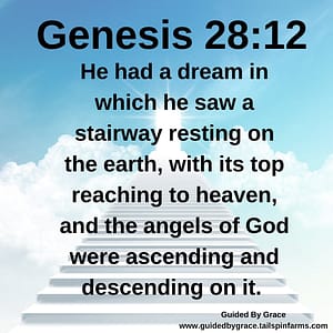 Genesis 2812