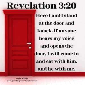Revelation 320