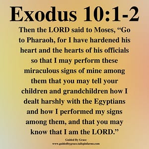Exodus 101-2