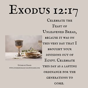 Exodus 1217