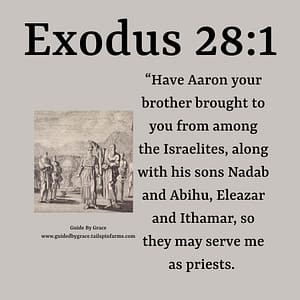 20 Exodus 281