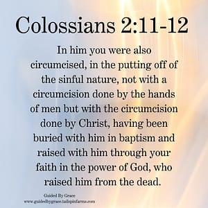 Colossians 211
