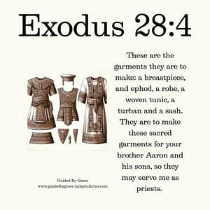 Exodus 284