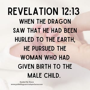 Revelation 1213