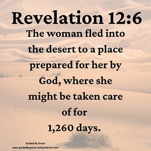 Revelation 126