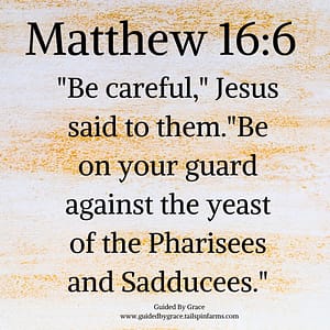 Matthew 166