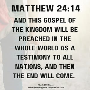 Matthew 2414