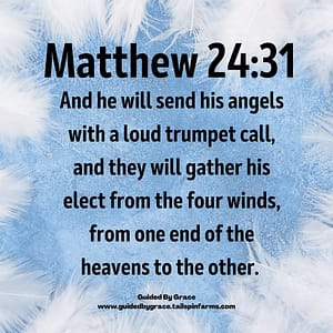 Matthew 2431