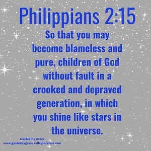 Philippians 215