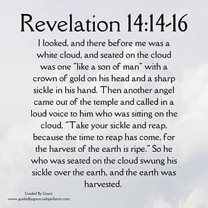 Revelation 1414-16