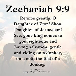 Zechariah 99