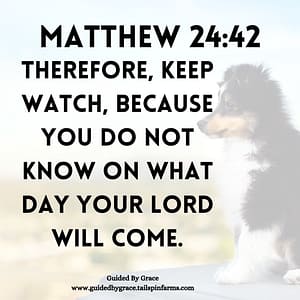 Matthew 2442