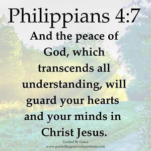 Philippians 47