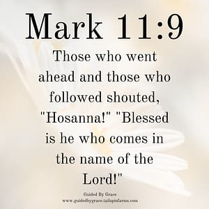 Mark 119