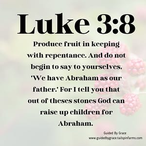 Luke 38