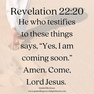 Revelation 2220