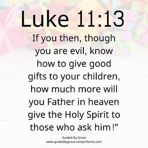 Luke 1113 (1)