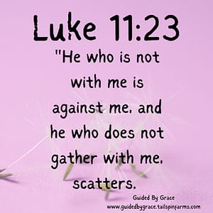 Luke 1123