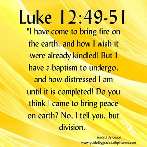 Luke 1249-51
