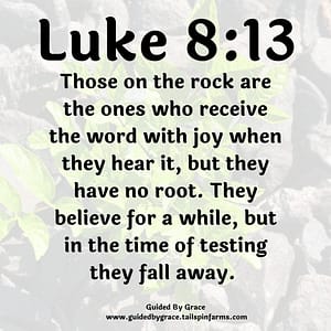 Luke 813