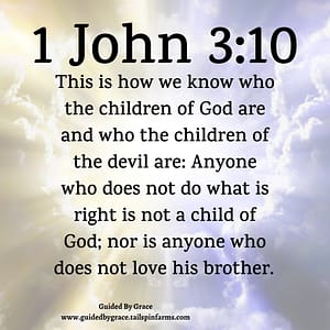 1 John 310