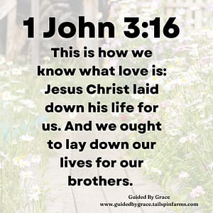 1 John 316