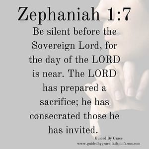 Zephaniah 17