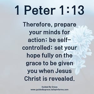 1 Peter 113