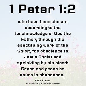 1 Peter 12