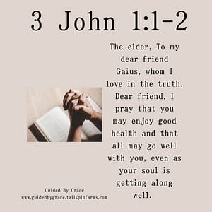 3 John 12