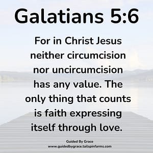 Galatians 56