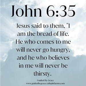 John 635