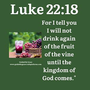 Luke 2218