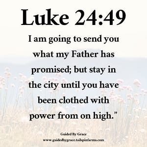 Luke 2449