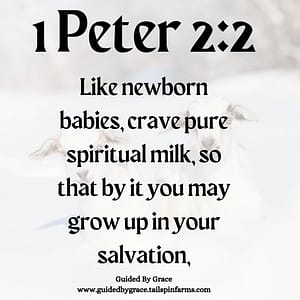 1 Peter 22