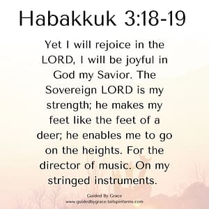 Habakkuk 318-19