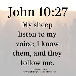 John 1027