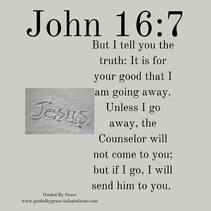John 1617
