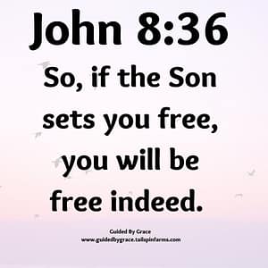 John 836