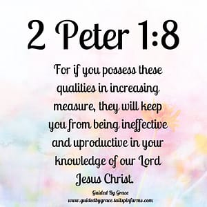 2 Peter 15
