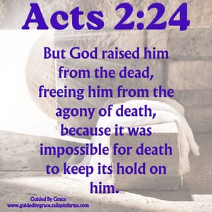 Acts 224