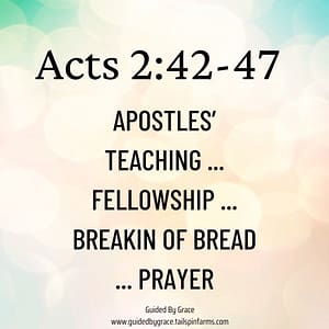 Acts 242-47